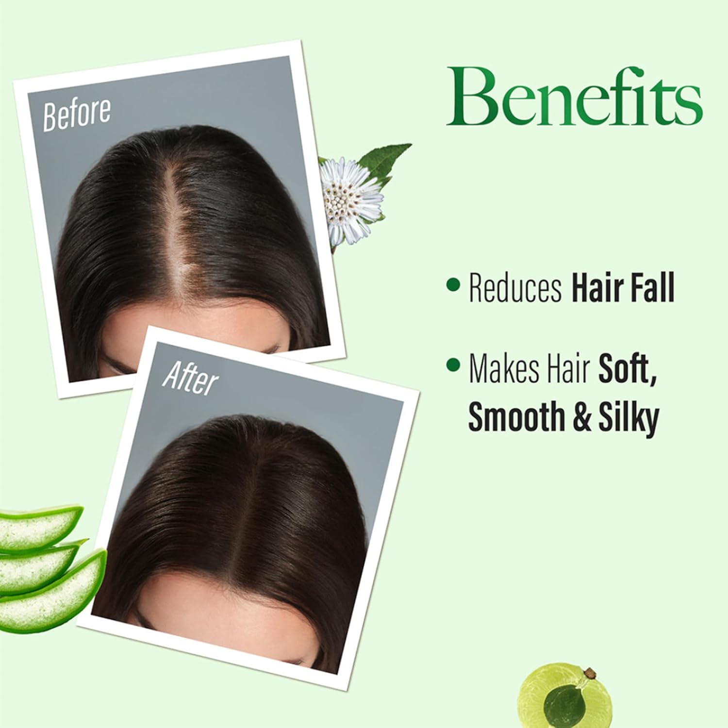 KESH KING Anti Hairfall Shampoo | with 21 Ayurvedic Herbs & Aloe Vera | Provides Healthy Nourished Scalp | for Shiny & Smooth Hairs | 6.76 Fl Oz/200ml - Image 6