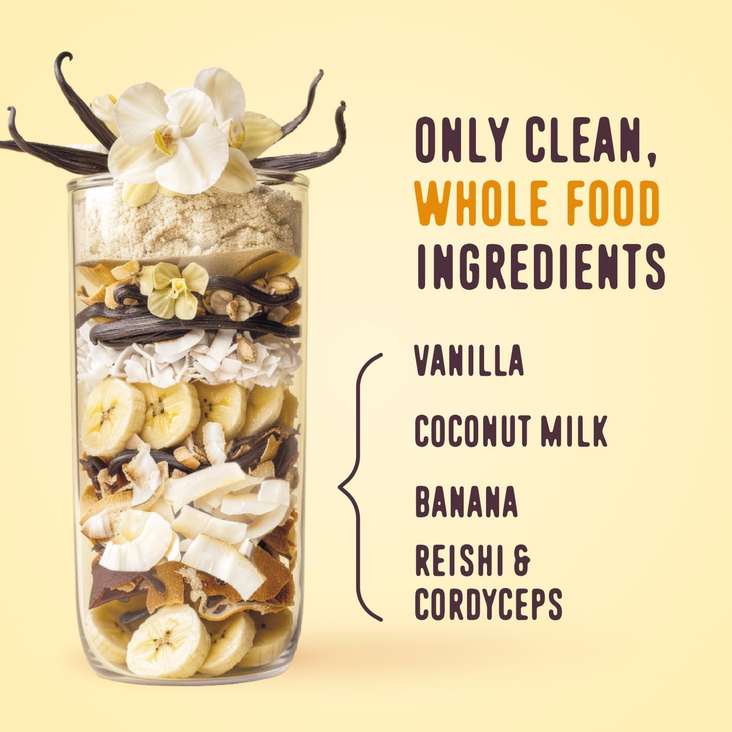 FlavCity Vanilla All in One Protein Shake Powder - On the Go Meal Alternative + Collagen Peptides, Reishi & Cordyceps - Focus, Skin, Hair & Joint Support - 100% Grass Fed Whey, 20 Servings - Image 3