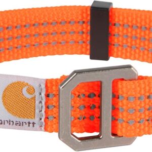 Carhartt Fully Adjustable Nylon Webbing Collars for Dogs, Reflective Stitching for Visibility, Hunter Orange (Nylon Webbing), Large