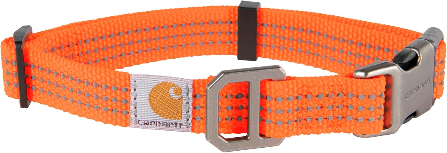 Carhartt Fully Adjustable Nylon Webbing Collars for Dogs, Reflective Stitching for Visibility, Hunter Orange (Nylon Webbing), Large