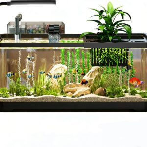 5 Gallon Fish Tank, Aquarium Plastic Starter Kit with Filter, led Light, sponge, and filter ball, Fish Tank for Betta, Plastic Nano Aquarium with Lid(18.5*7.87*8.07 inch / Black) (5 Gallon Fish Tank)