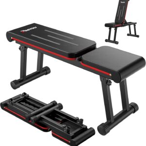 PASYOU Adjustable Weight Bench – Foldable Home Gym Bench Press, Multi-Angle Incline Bench, 660LB Capacity, Free Assembly, Dual-Frame (Model PB300)