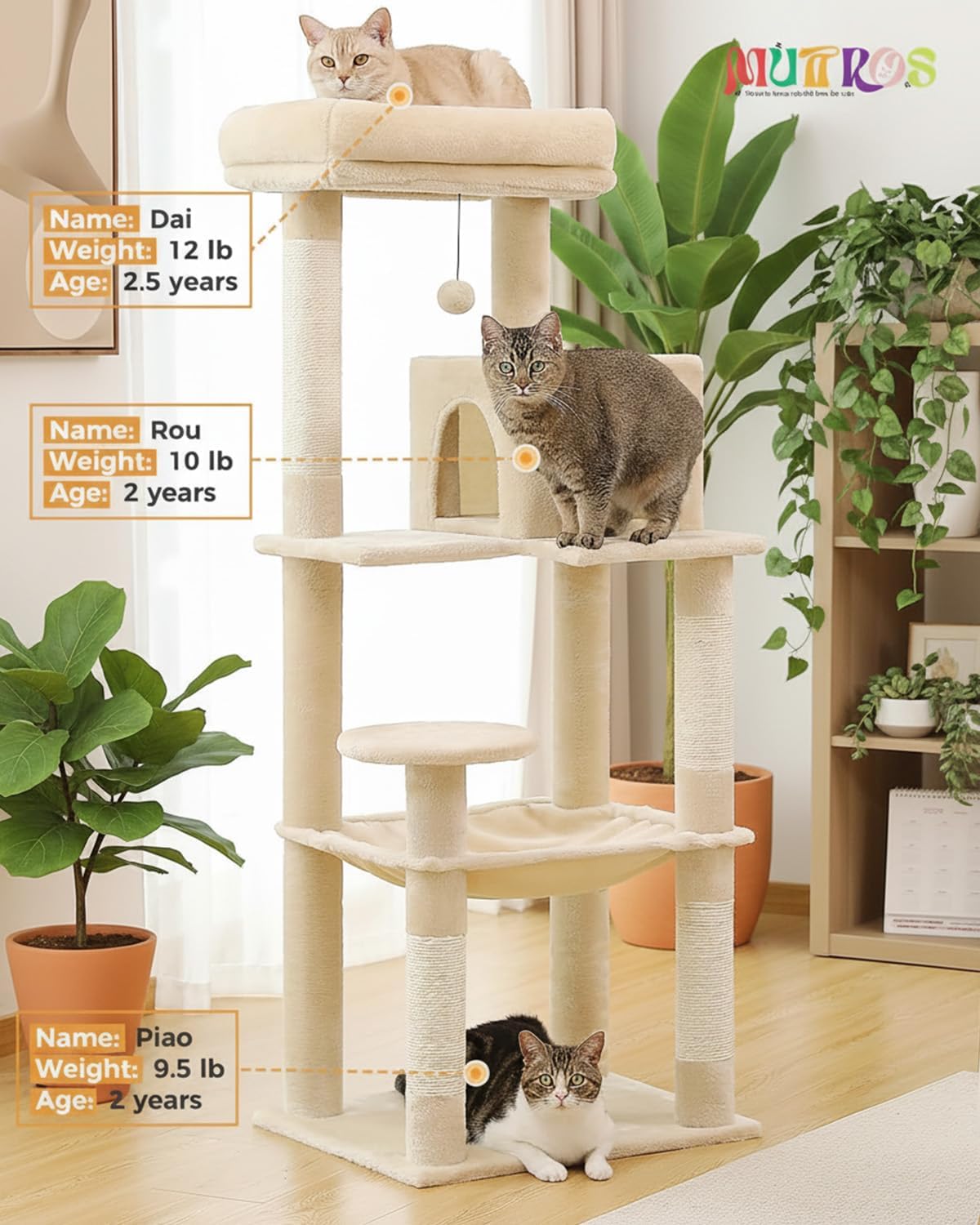 MUTTROS Cat Tree for Large Cats Adult with Metal Plush Big Hammock, 56.3" Cat Tower with 2 Door Condo House, 6-Tier Cat Shelves with Scratching Posts and Large Top Perch, Beige - Image 2