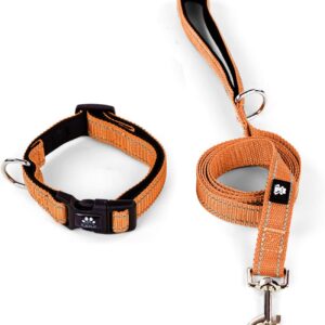 IVY&LANE Reflective Dog Collar and Leash Set,Adjustable Neoprene Padded Dog Collars for Puppy, Breathable Nylon Pet Collar for Small Medium Large Dogs (Large,Orange)