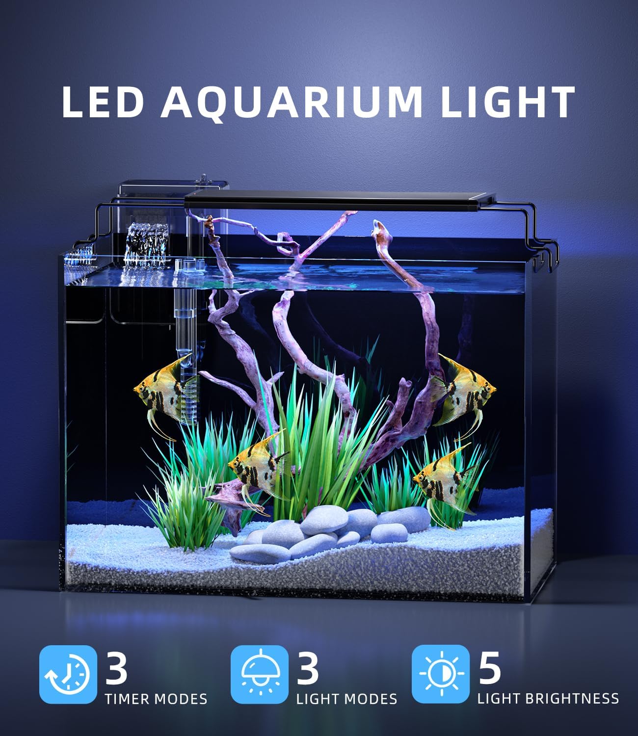 5 Gallon Fish Tank Aquarium Kit with Filter, LED Light with Timer, Siphon Vacuum Cleaner, Lid, Self-Cleaning Glass Rimless Betta Tank - Image 2