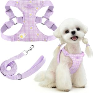 PETCARE Cute Small Dog Harness and Leash Set Purple Floral Daisy Puppy Harness Vest Adjustable Step in Spring Summer Soft Mesh Flower Girl Dog Harnesses for Chihuahua Yorkie Pomeranian Shih Tzu, XS