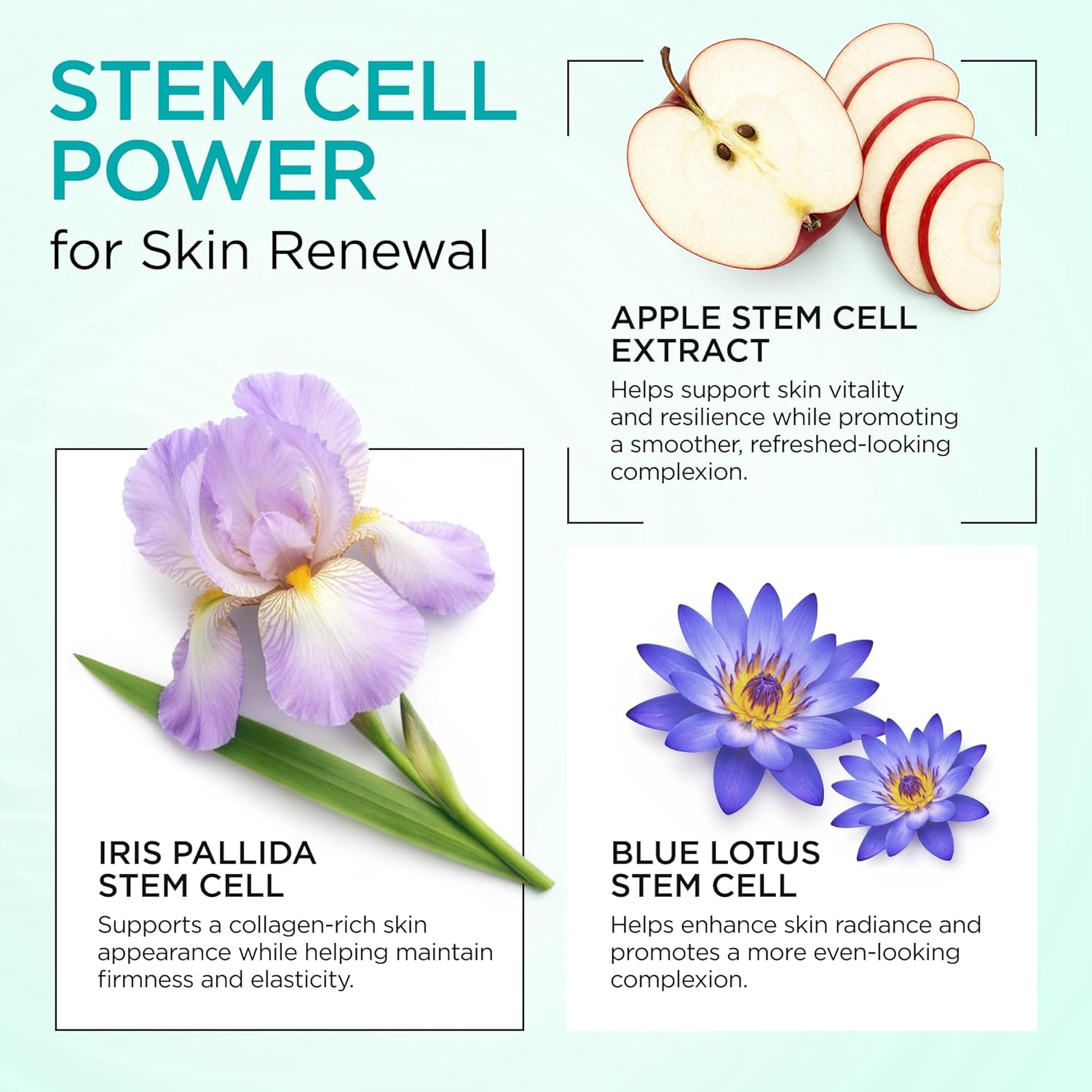 Moisturizer Collagen Anti-Aging Face Cream with Stem Cells, Retinol, Hyaluronic Acid & Niacinamide - Hydrating Day & Night Wrinkle Cream for All Skin Types - Airless Pump - Made in USA - 1.7Oz - Image 8