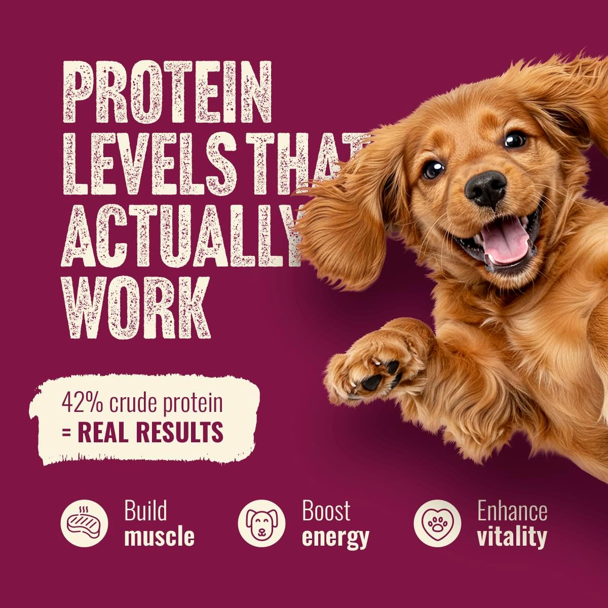 Natural Farm High Protein Dry Dog Food for All Life Stages with Collagen, Every Bag Contains 70% Beef & Pork and 30% Ancient Super Food Grains, Complete and Balanced Nutrition, 22.5 Lbs. Bag - Image 5