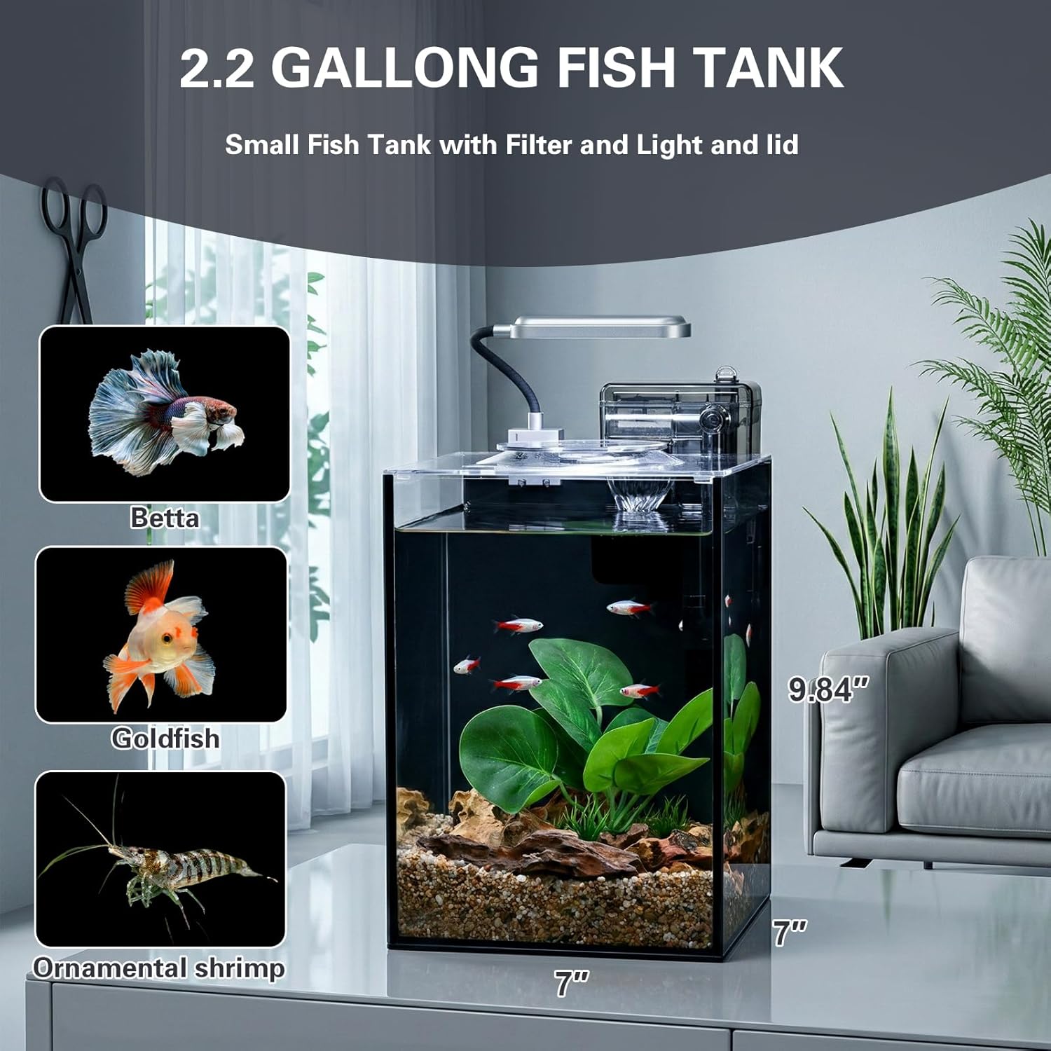 2.2 Gallon Small Aquarium Set Glass Fish Tank,Desktop Small Aquarium Kit for Beginners and Children to Keep Betta Fish, Goldfish, Shrimp, and Aquatic Plants (Black, 2.2 Gallon (Complete Kit)) - Image 4