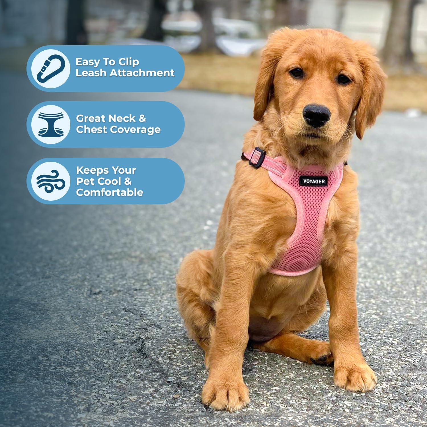 Best Pet Supplies Voyager Adjustable Step-in Flex Breathable Mesh Dog Harness for Small Medium Large Dogs Leash Set (Pink), S - Image 5