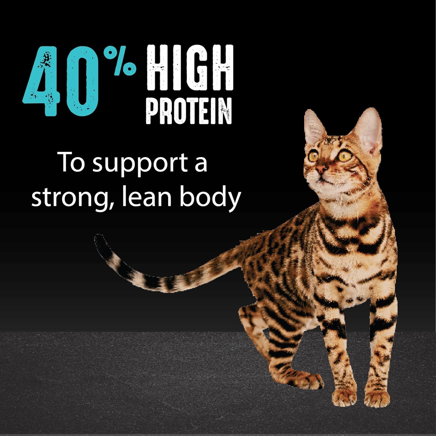 CRAVE Grain Free Adult High Protein Natural Dry Cat Food with Protein from Salmon & Ocean Fish, 2 lb. Bag - Image 5