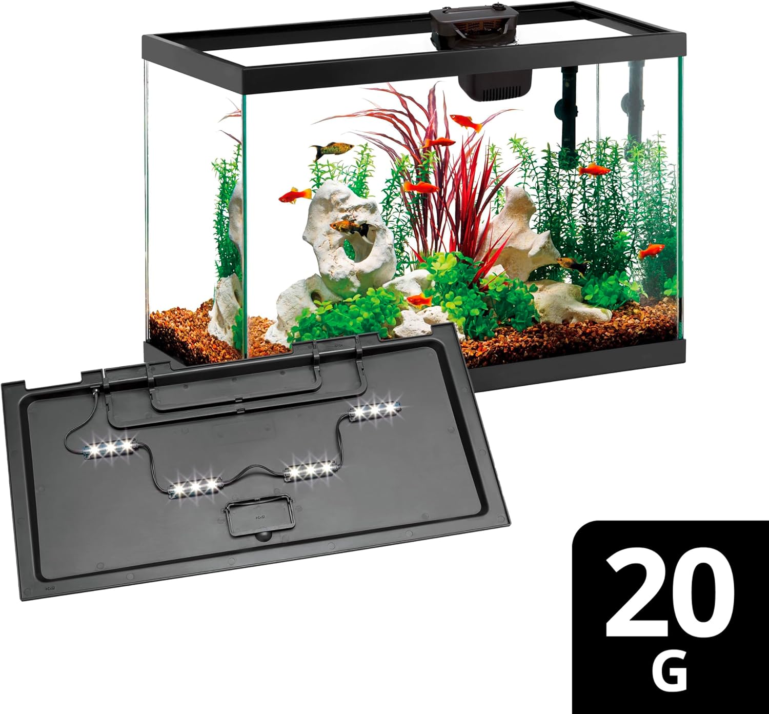 Aqueon Aquarium Starter Kit with Smart Clean Filtration and LED Lighting, Freshwater and Saltwater Fish, 20-Gallon - Image 9