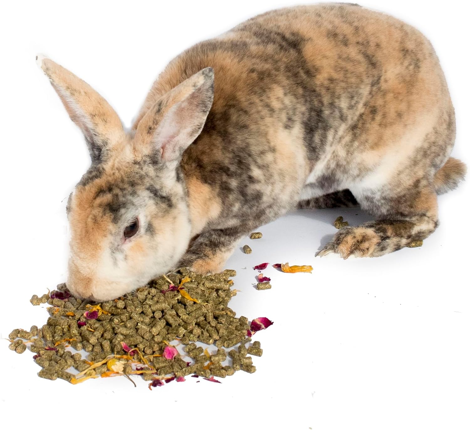 Pampered Chicken Mama Premium Herbal Rabbit Feed (12 pounds): Calendula Flowers, Chamomile, Rose Petals, & Timothy Hay Rabbit Food (12 pounds) - Image 3