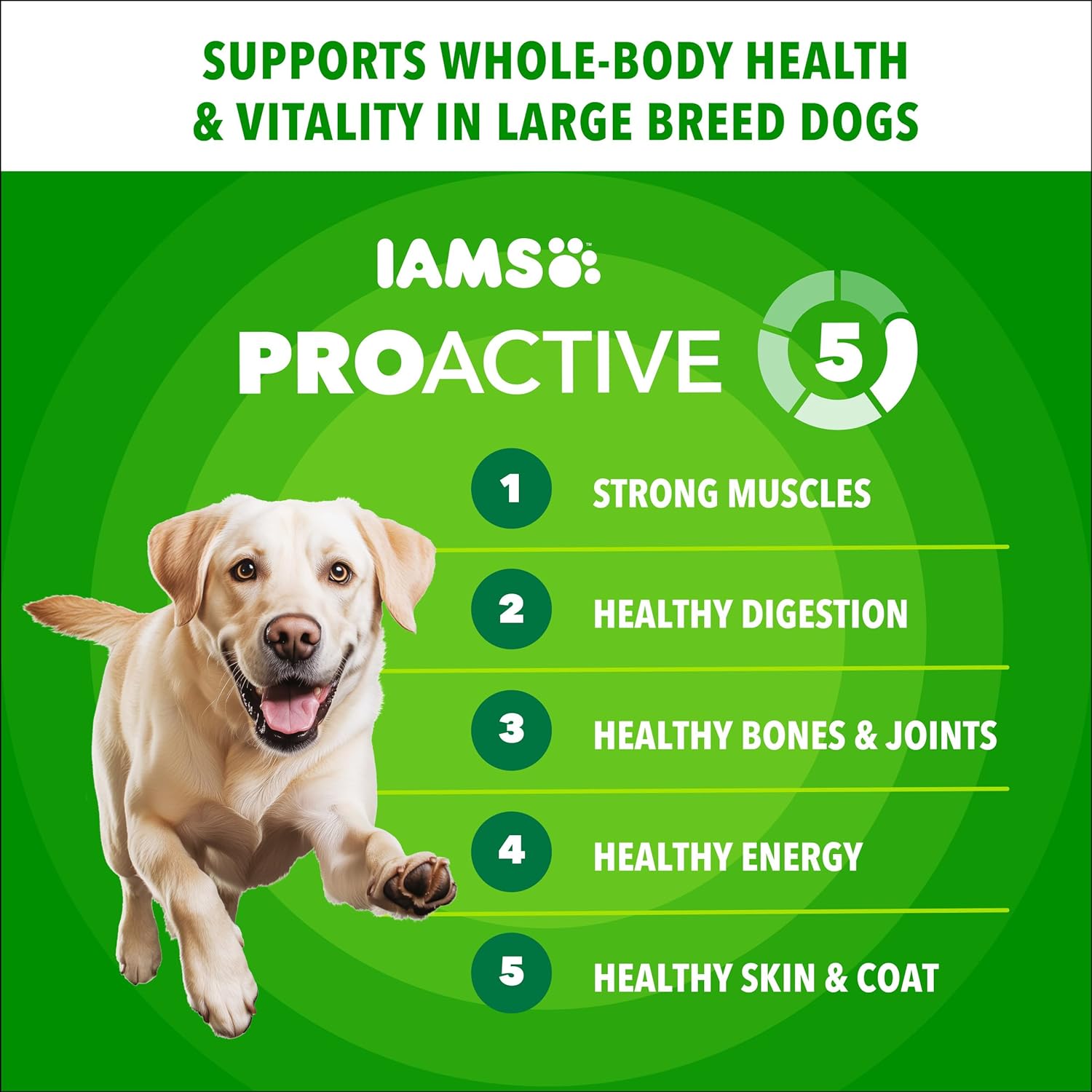 IAMS Proactive Health Large Breed Dry Dog Food, Adult Dry Dog Food for Large Breeds, Chicken, 30 lb. Bag - Image 3