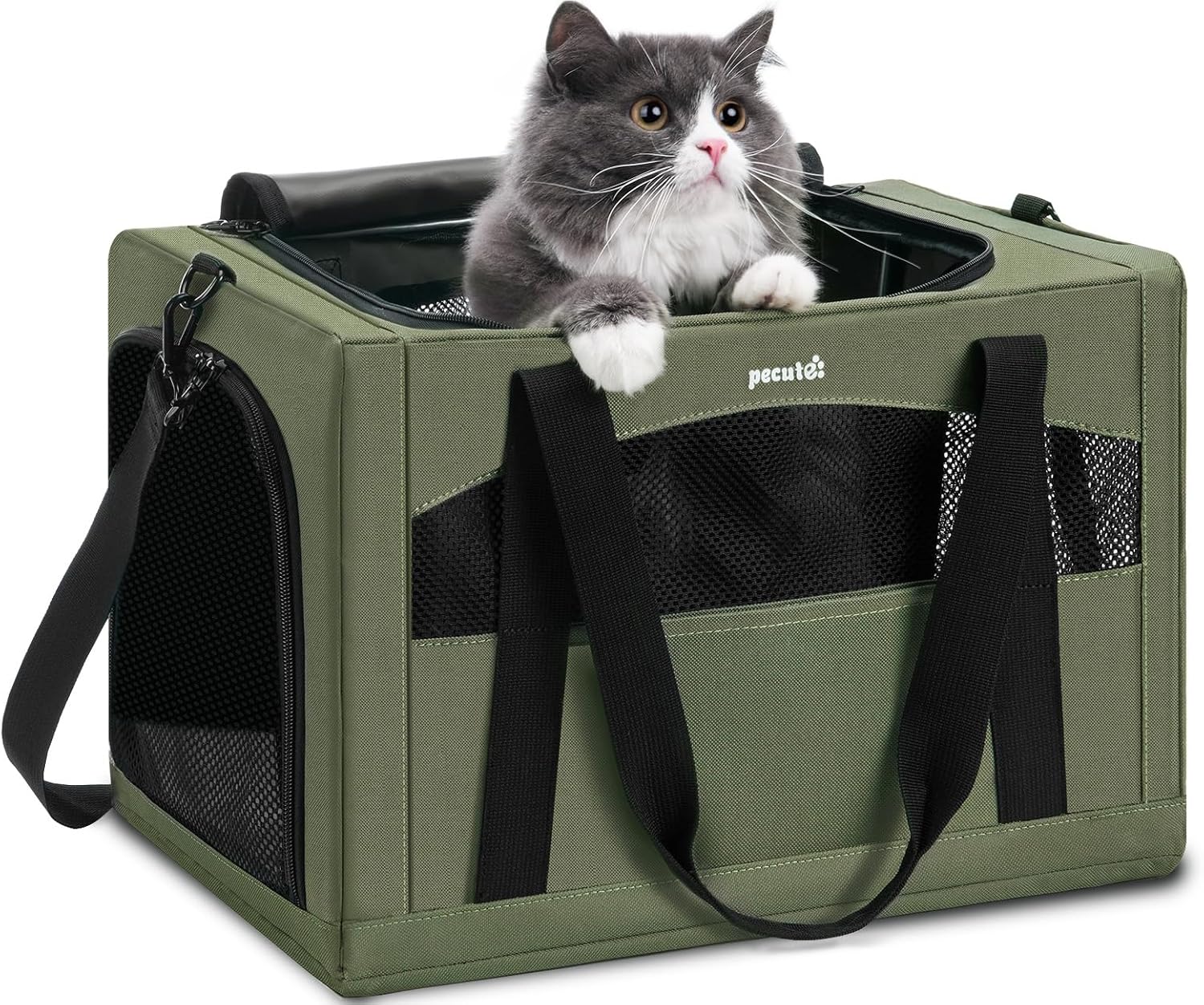 Pecute Cat Carrier Stable, Pet Carrier with Hidden Anxiety Relief Partition & Stable Steel Frame, Safe Cat Carrier for Car Travel, Soft-Sided Dog/Cat Carrier Bag for Pets Up to 11lbs, Green