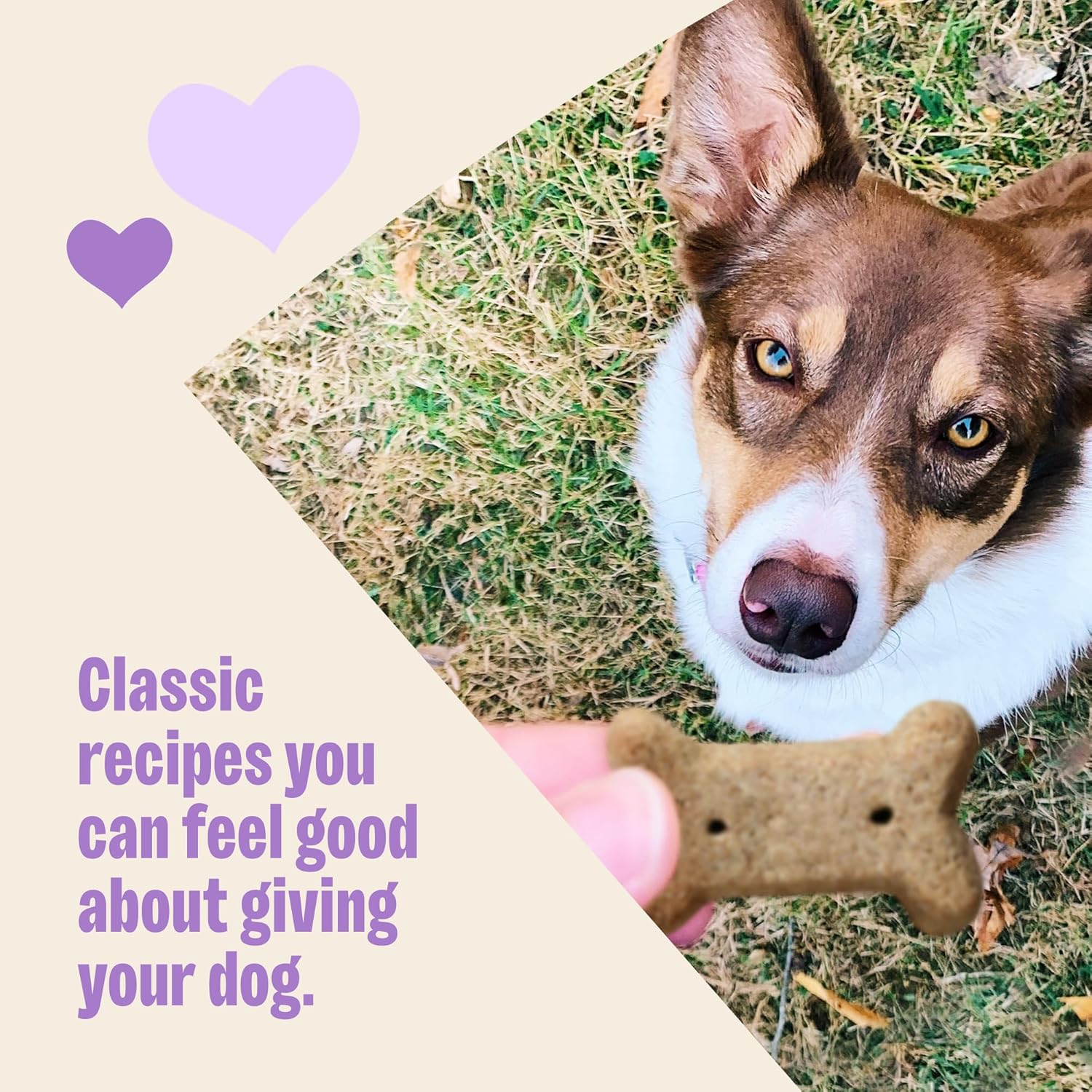 Wellness Old Mother Hubbard Classic P-Nuttier Dog Biscuits, Natural Training Treats, Peanut Butter Flavor, Mini Size, 5 oz Bag - Image 4