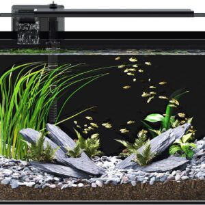 5 Gallon Fish Tank Aquarium Kit with Filter, LED Light with Timer, Siphon Vacuum Cleaner, Lid, Self-Cleaning Glass Rimless Betta Tank