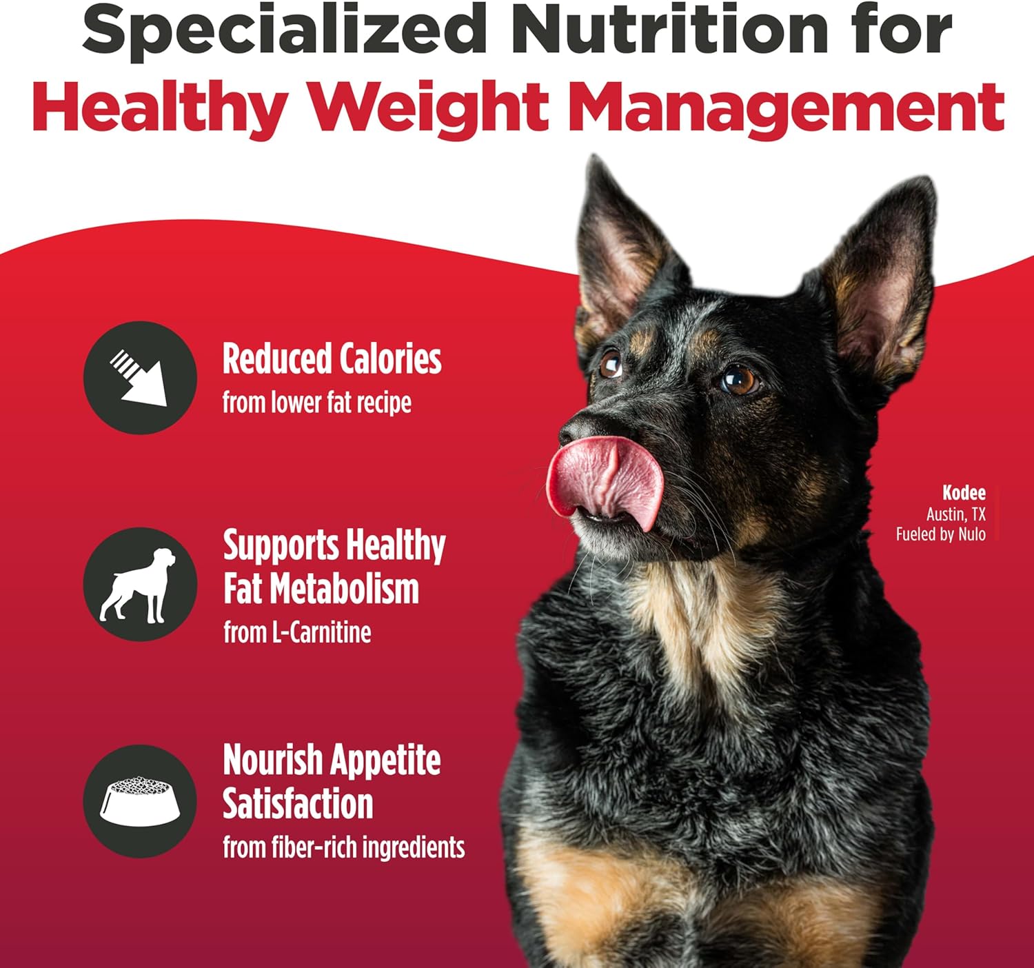 Nulo FreeStyle Adult Trim Dry Dog Food - High Protein Grain Free Dog Food for Healthy Weight Management, Natural Kibble with Probiotics, L-Carnitine and Fiber for Small, Medium, Large Breeds, 6lb Bag - Image 4
