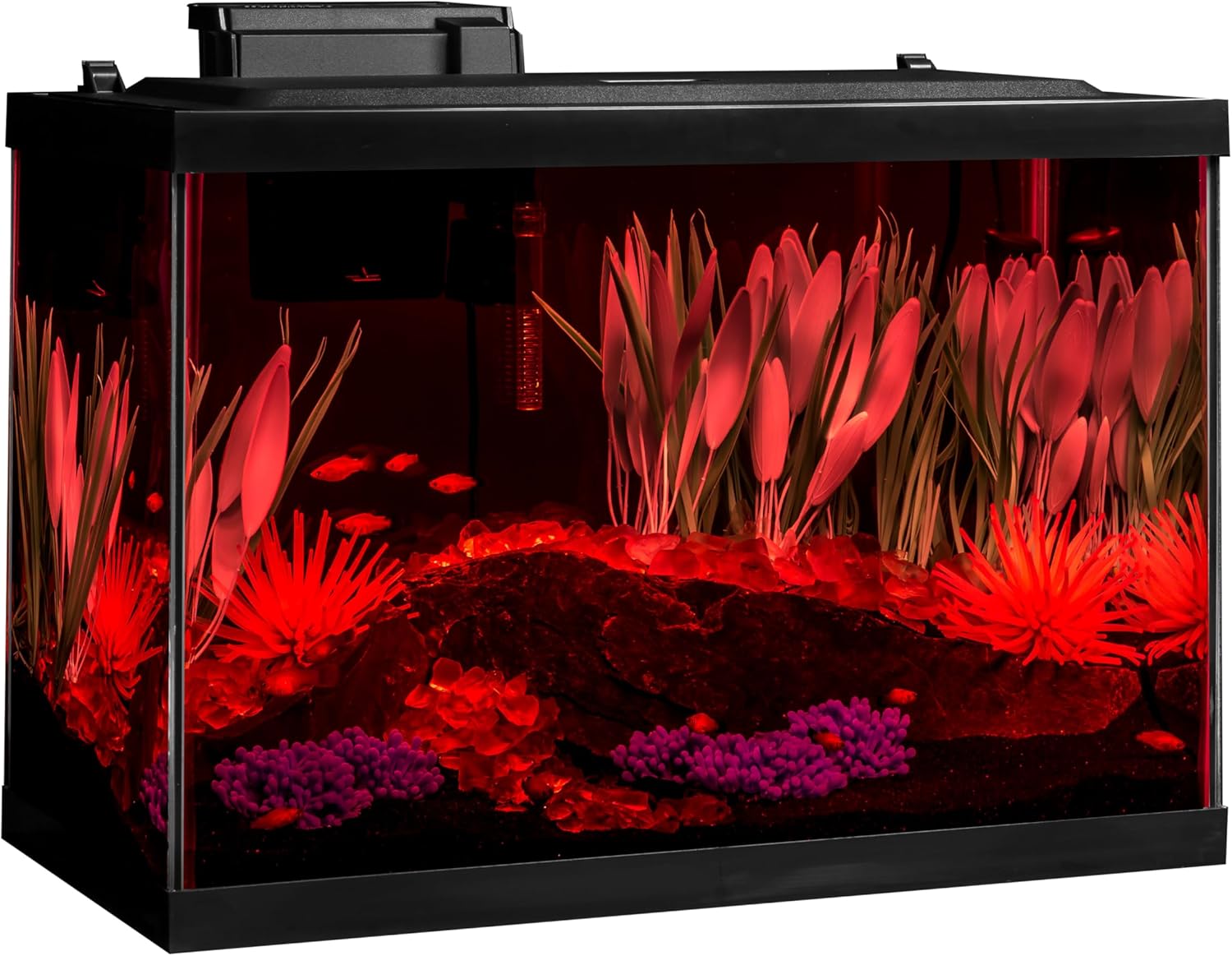 Tetra ColorFusion Aquarium 20 Gallon Fish Tank Kit, Includes LED Lighting and Decor - Image 9