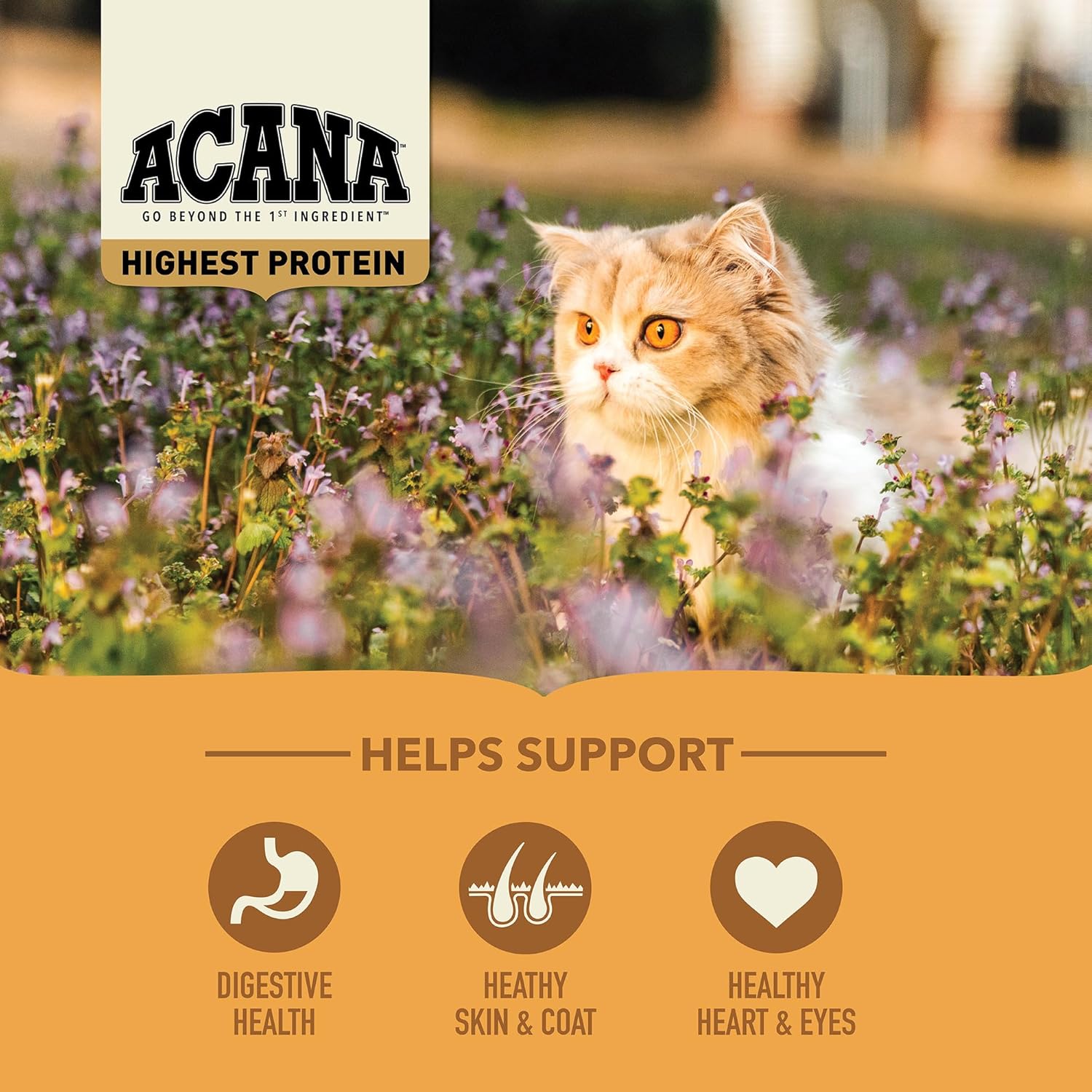 ACANA Grain-free Dry Cat Food Meadowlands Chicken Turkey Fish and Cage-Free Eggs 4lb Bag - Image 3
