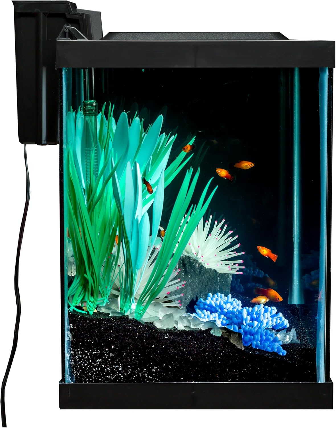 Tetra ColorFusion Aquarium 20 Gallon Fish Tank Kit, Includes LED Lighting and Decor - Image 3