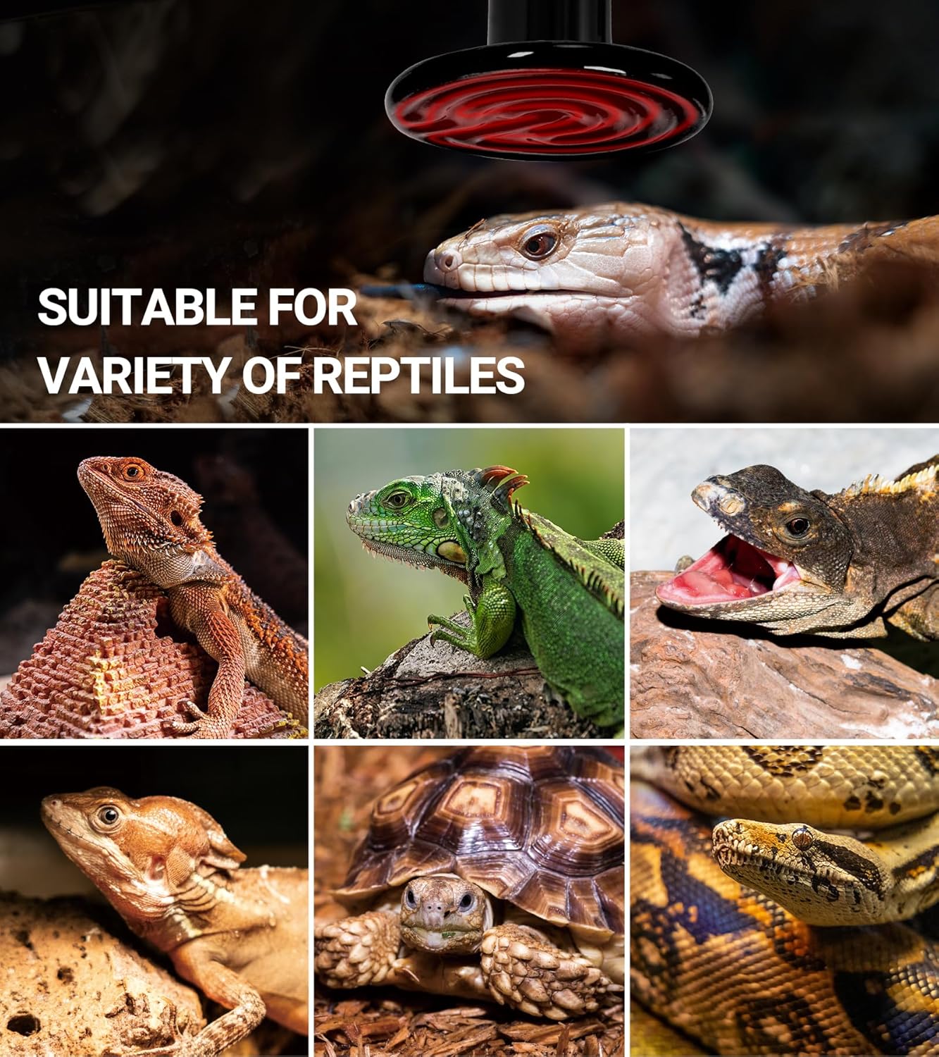 REPTI ZOO 100W Reptile Heat Lamp 2Pack Ceramic Heat Emitter Night Heat Lamp Bulbs Reptile Terrarium Heat lamp Tank Heat Bulb for Turtle Bearded Dragon Gecko Lizard Snake Chicken E26 - Image 7