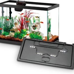 Aqueon Aquarium Starter Kit with Smart Clean Filtration and LED Lighting, Freshwater and Saltwater Fish, 20-Gallon