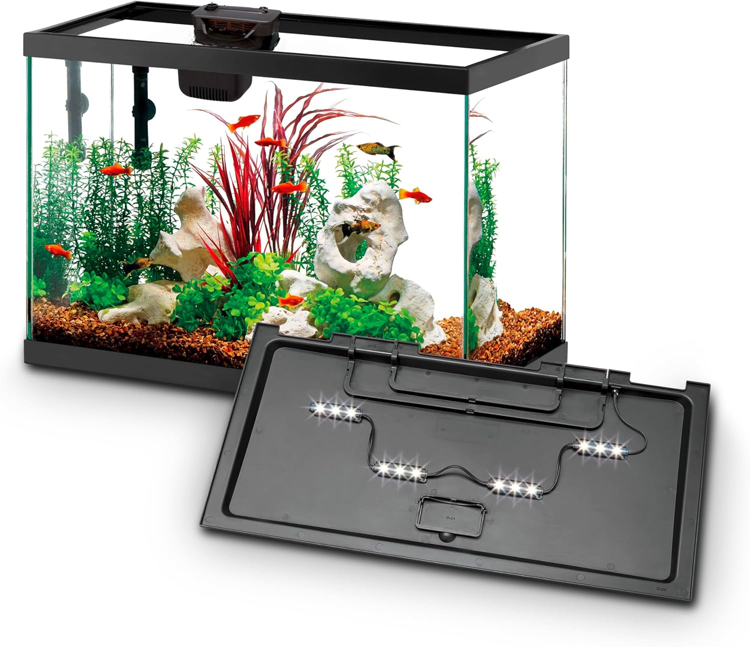 Aqueon Aquarium Starter Kit with Smart Clean Filtration and LED Lighting, Freshwater and Saltwater Fish, 20-Gallon
