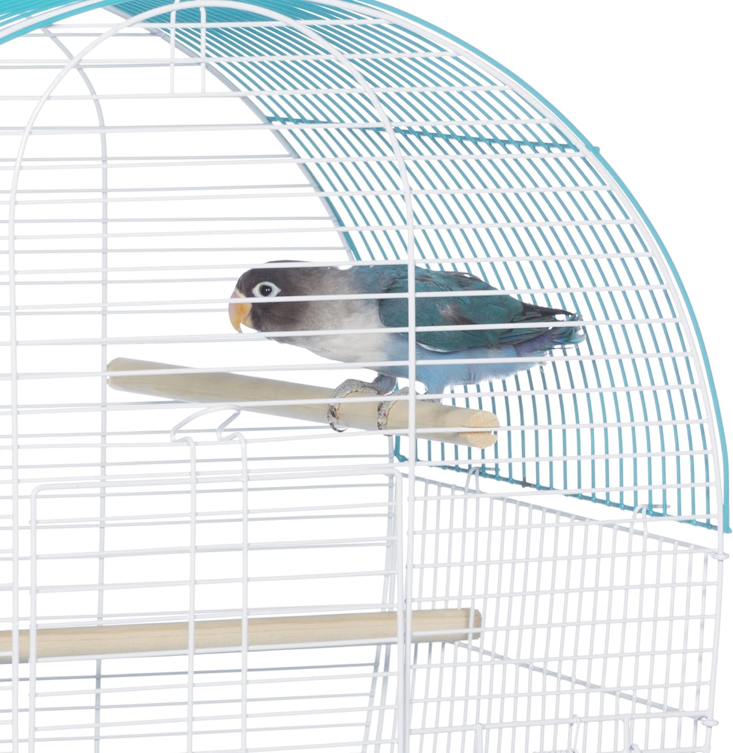 Prevue Pet Products South Beach Dome Top Bird Cage - Ideal for Parakeets, Finches, Budgies, & Canaries, Small & Portable Indoor Bird Cage, Functional Permanent or Travel Bird Cage - White & Teal - Image 10