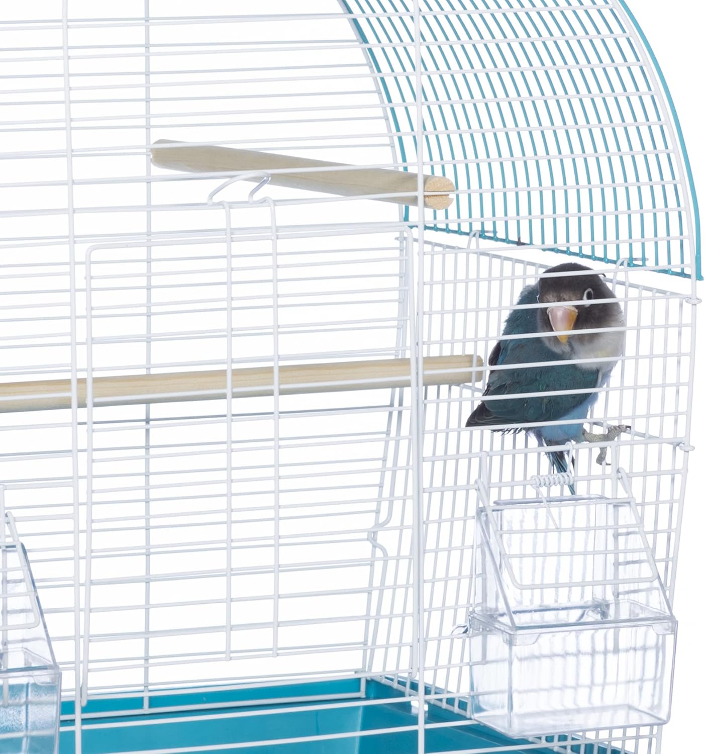 Prevue Pet Products South Beach Dome Top Bird Cage - Ideal for Parakeets, Finches, Budgies, & Canaries, Small & Portable Indoor Bird Cage, Functional Permanent or Travel Bird Cage - White & Teal - Image 7
