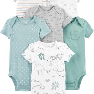 Simple Joys by Carter’s Unisex Babies’ Short-Sleeve Bodysuit