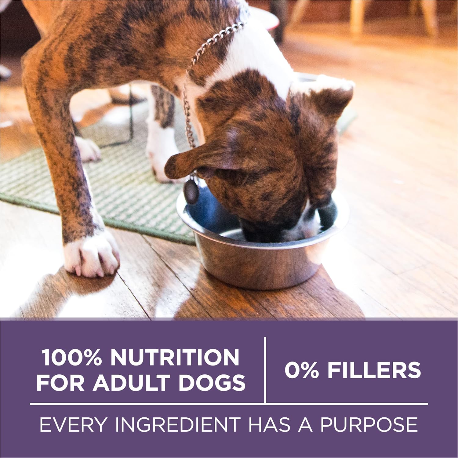 Purina ONE High Protein Dry Senior Dog Food Plus Vibrant Maturity Adult 7 Plus Formula - 8 lb. Bag - Image 8