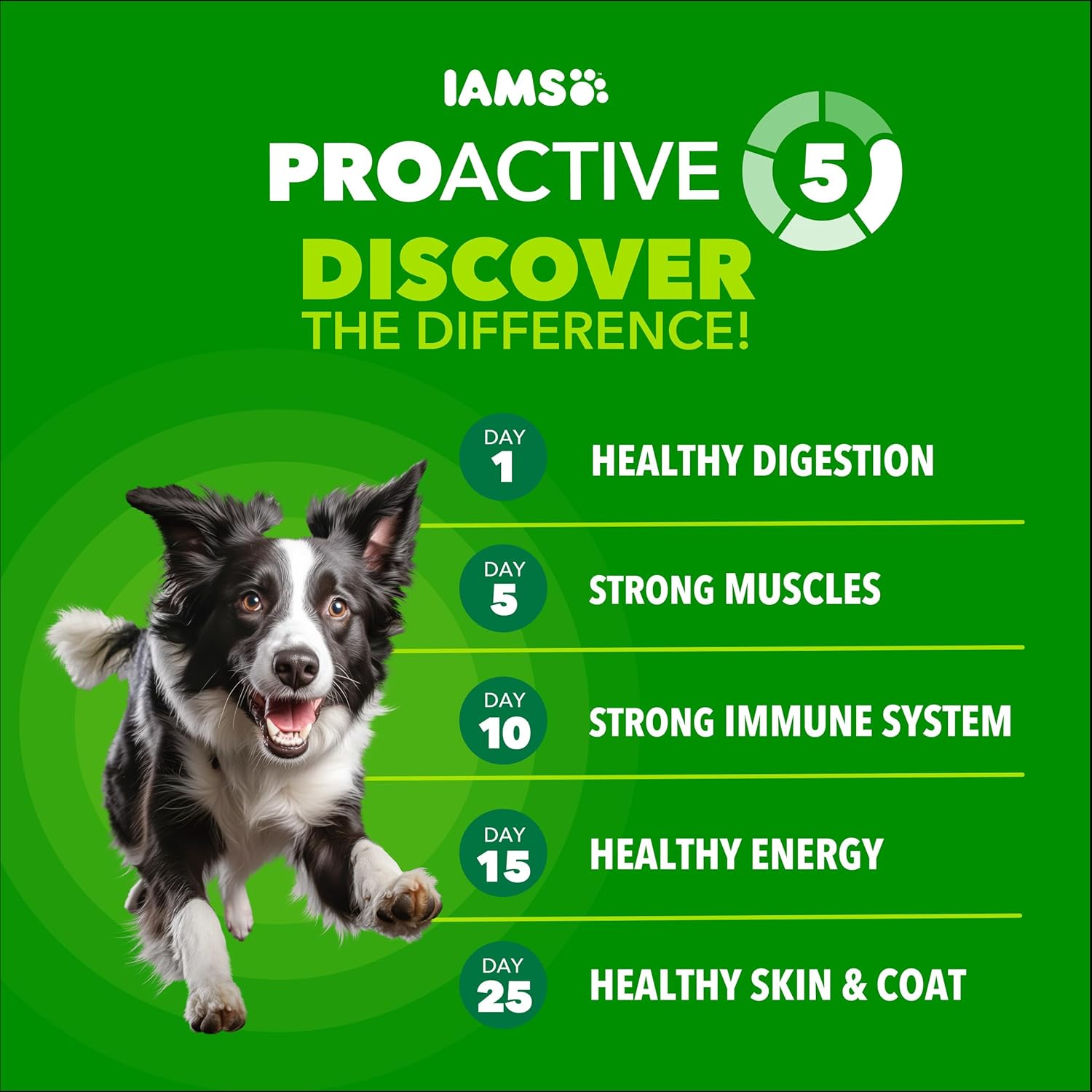 IAMS Proactive Health High Protein Dry Dog Food with Chicken & Beef, 30 lb. Bag - Image 9