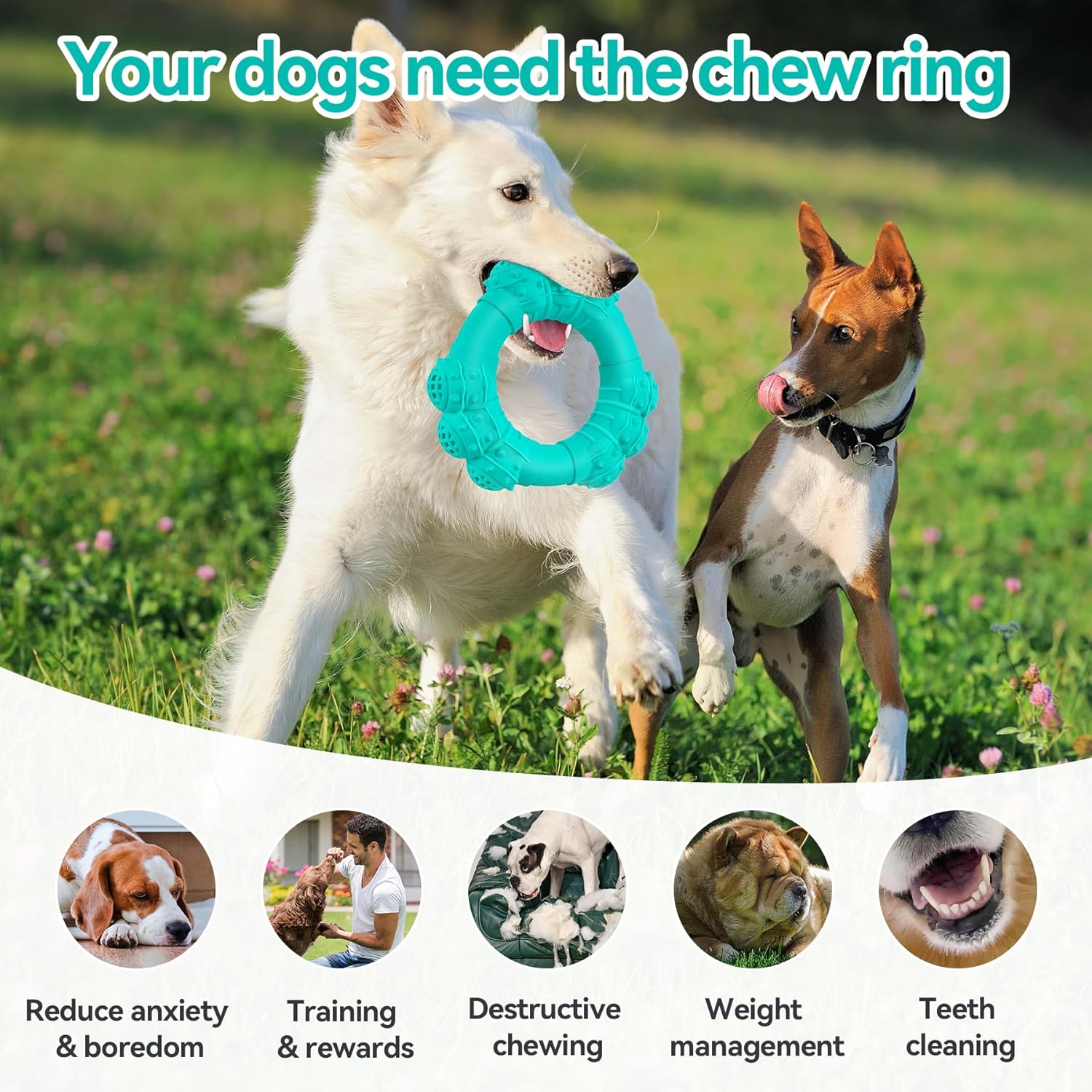 Indestructible Dog Chews - Super Duty Chew Toys for Aggressive Dogs, Puppy Teething Relief & Interactive Play - Image 5
