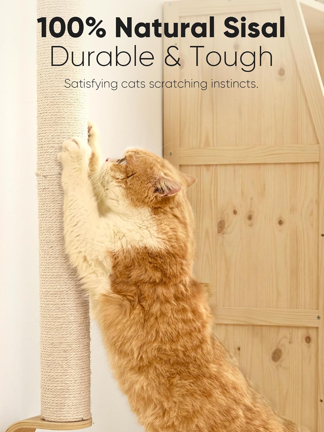 FUKUMARU Cat Wall Scratcher, 60" Tall Wall Mounted Kitten Scratching Post, Sturdy Sisal Climbing Tree for Indoor Large Cats - Image 2
