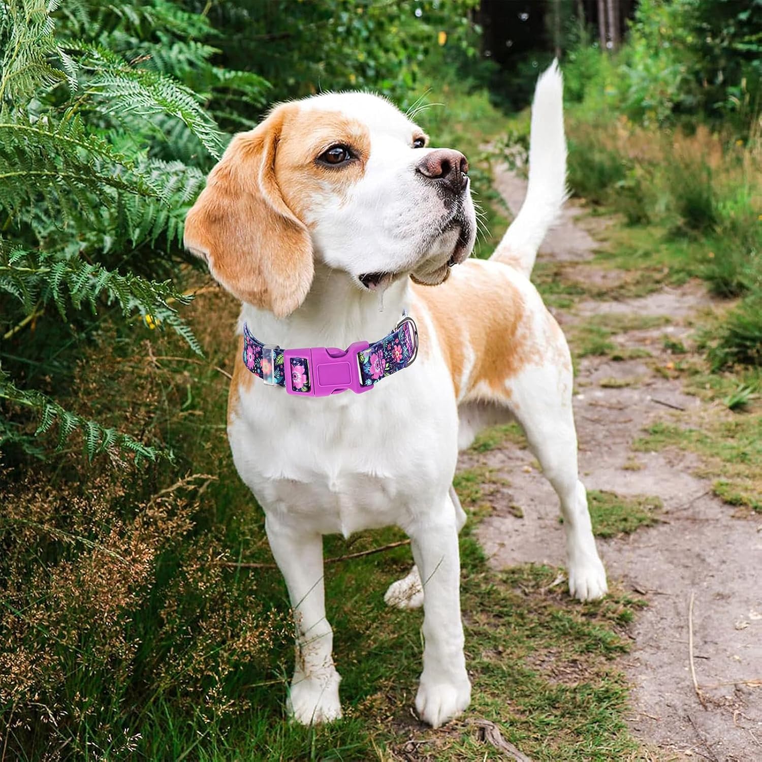 Bohemian Floral Dog Collar - Stylish Floral Pattern, Soft Nylon Adjustable Collar for Small Dogs, Quick-Release Buckle, Durable Pet Collar for Boy and Girl Puppies (Small) - Image 4