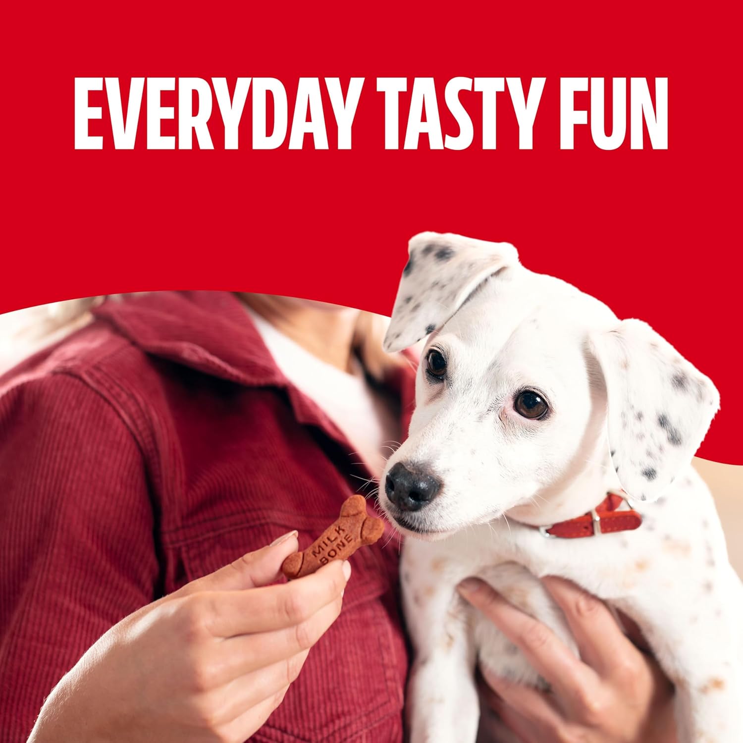 Milk-Bone Soft & Chewy Dog Treats, Made with Real Beef & Filet Mignon, 25 Ounce Canister - Image 5