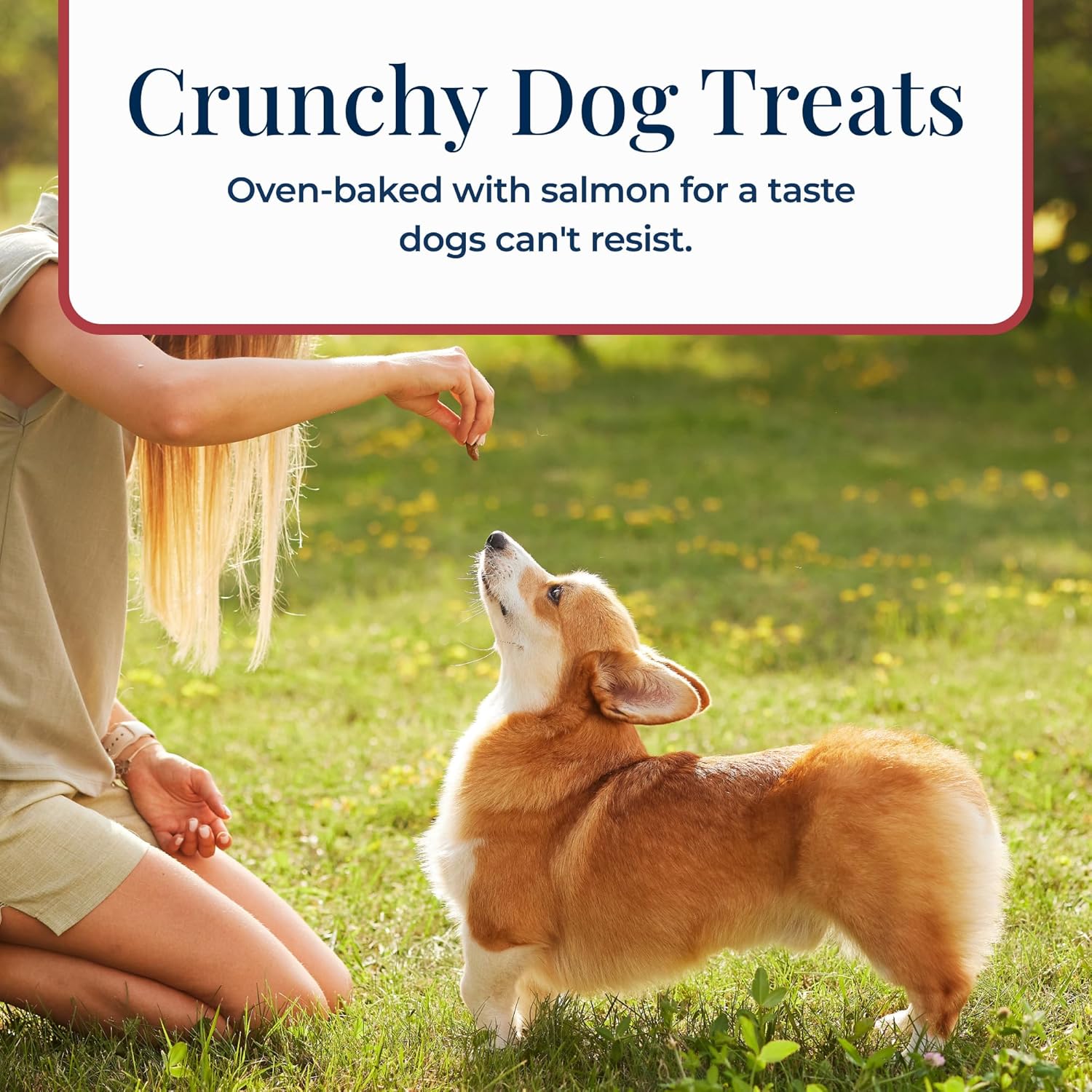 Blue Buffalo Basics Crunchy Dog Biscuits for Skin & Stomach Care, Limited Ingredient Diet Dog Treats, Salmon & Potato Recipe, 6-oz. Bag - Image 5