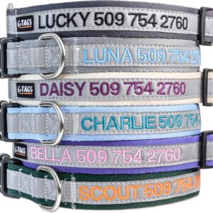 GoTags Reflective Personalized Dog Collar, Custom Embroidered with Pet Name and Phone Number in Blue for Boy and Girl Dogs, Adjustable Large