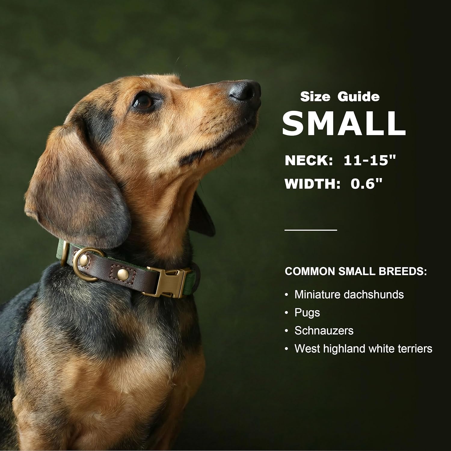 Didog Soft PU Leather Dog Collars for Small Dogs,Classic Adjustable Dog Collars with Quick Release Metal Buckle,Easy Clean and Comfortable with Nylon Lining,Green,S Neck 11-15" - Image 3
