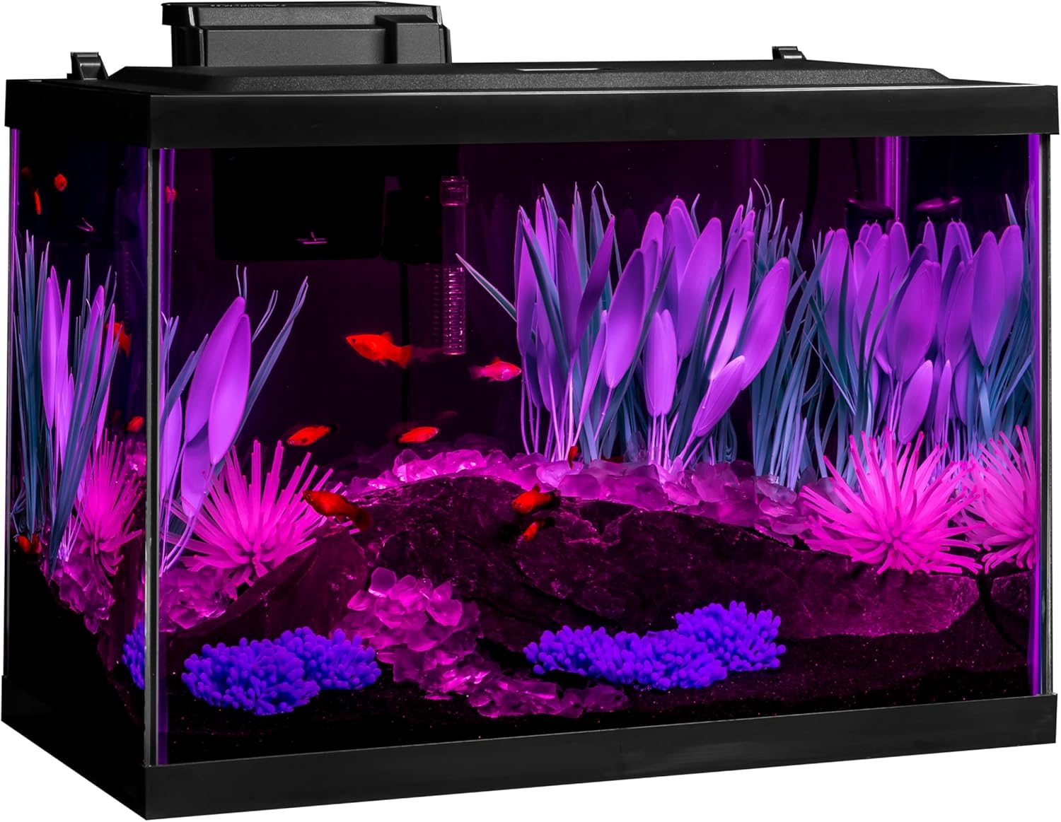 Tetra ColorFusion Aquarium 20 Gallon Fish Tank Kit, Includes LED Lighting and Decor - Image 7