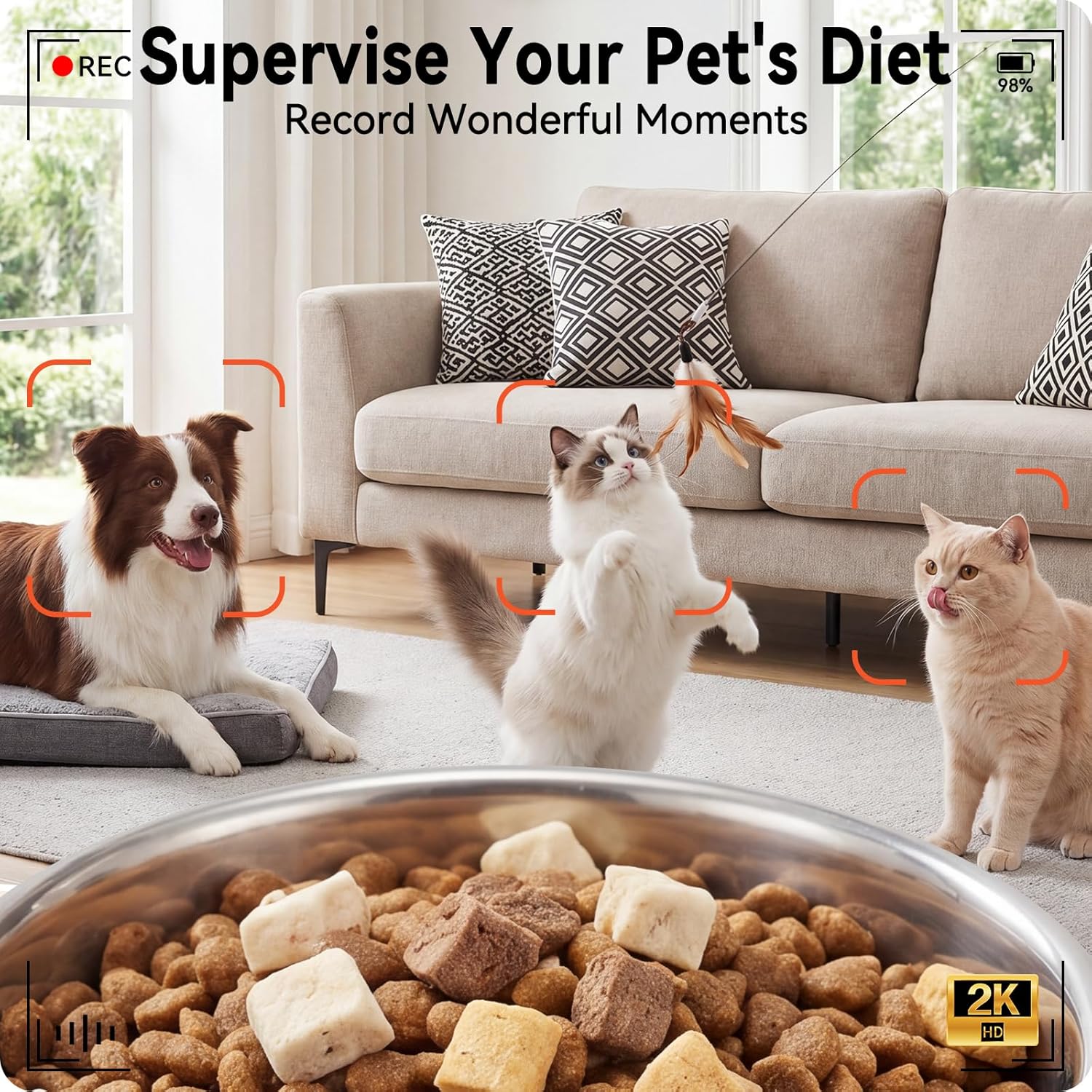 Automatic Cat Feeder with 2K HD Camera: 5G WiFi Automatic Dog Feeder with Night Vision, Auto Cat Food Dispenser with 6L Large Food Storage for Multiple Pet, Detachable for Easy Clean -24 Cup - Image 2