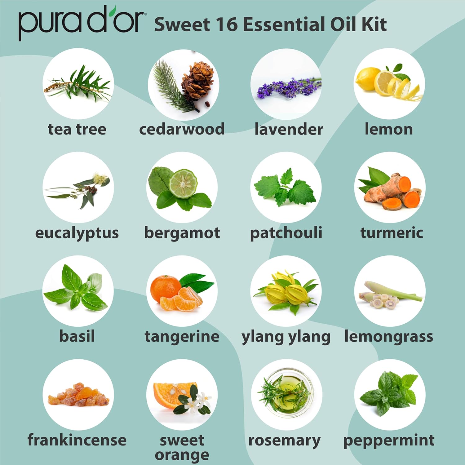 PURA D'OR Organic Sweet16 Essential Oils Set - 16x 10mL Wood Box Aromatherapy Gift Set - 100% Pure Therapeutic Grade for Relaxation and Wellness (Lavender, Rosemary, Turmeric, Ylang Ylang & More) - Image 5