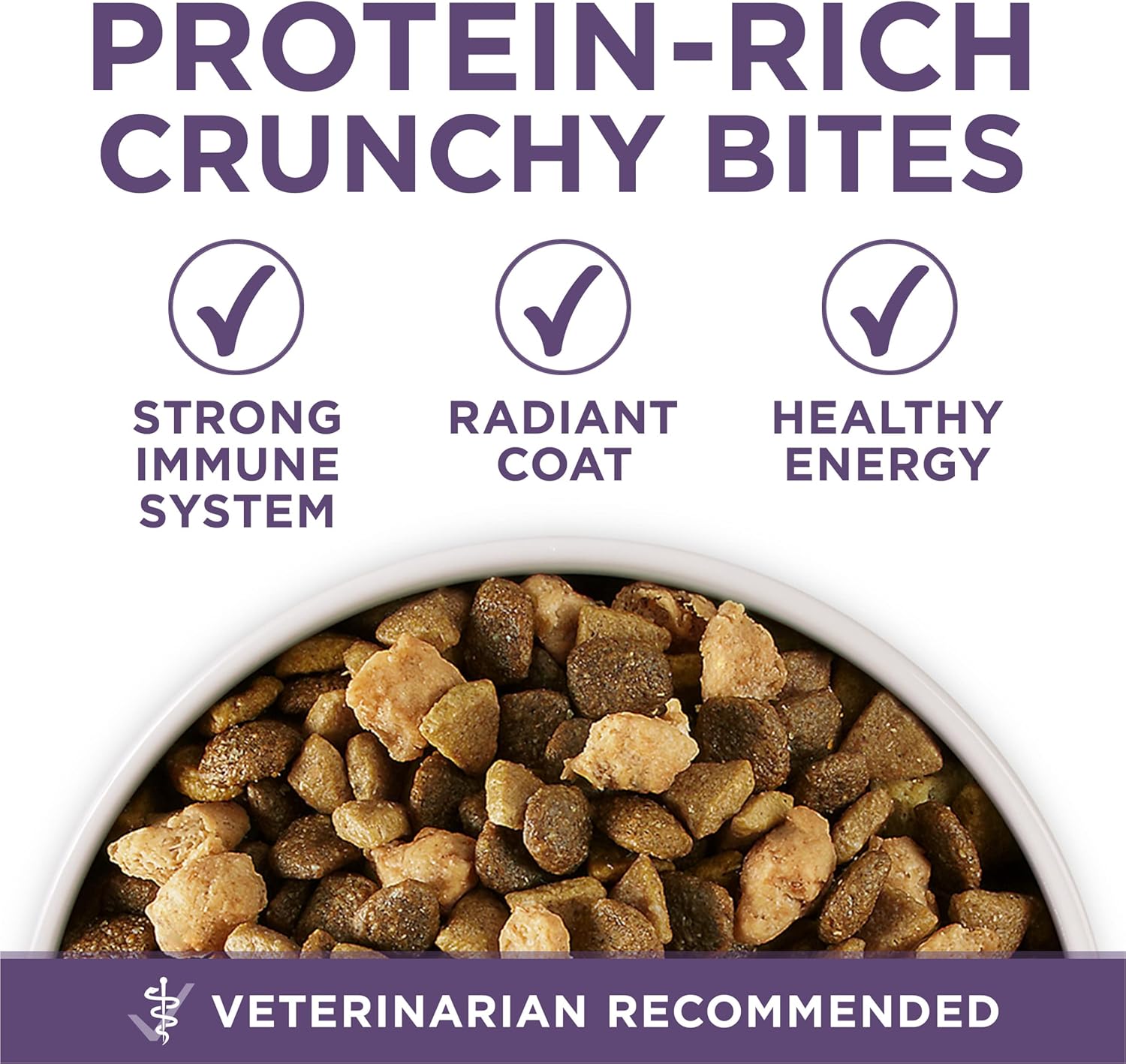 Purina ONE High Protein Dry Senior Dog Food Plus Vibrant Maturity Adult 7 Plus Formula - 8 lb. Bag - Image 7