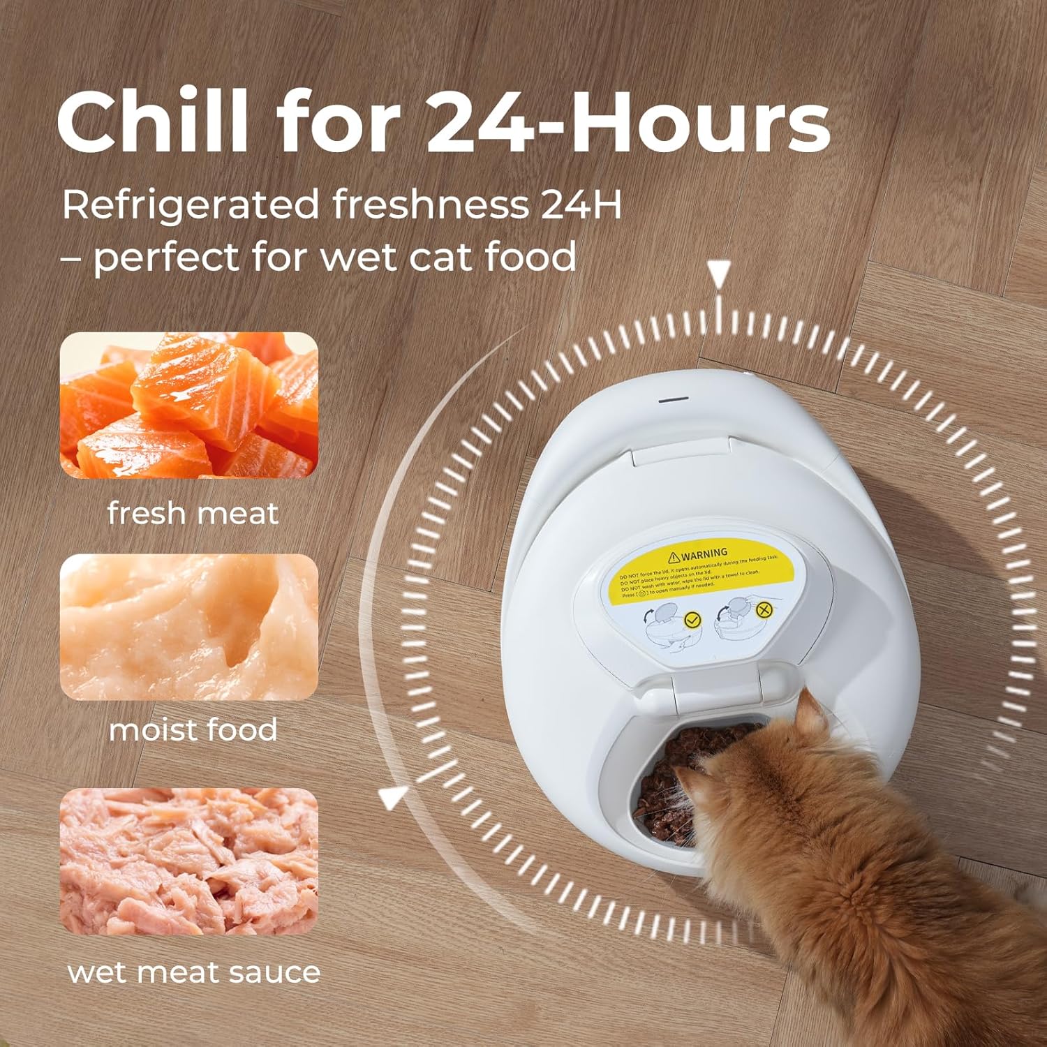 Automatic Cat Feeder Wet Food, 2026 Upgraded Smart Dual-Temp Refrigerated Auto Cat Feeder with Semiconductor Cooling & Pre-Heating, App-Controlled Pet Food Dispenser, Easy to Clean(White) - Image 2