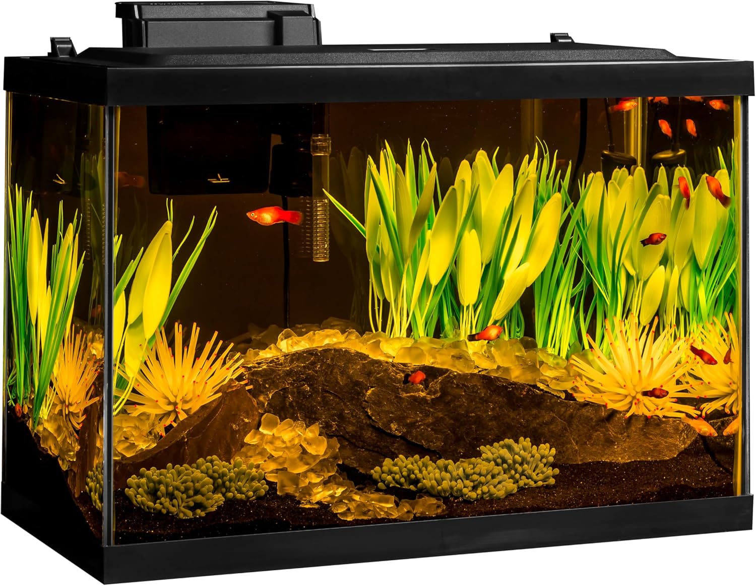Tetra ColorFusion Aquarium 20 Gallon Fish Tank Kit, Includes LED Lighting and Decor - Image 10