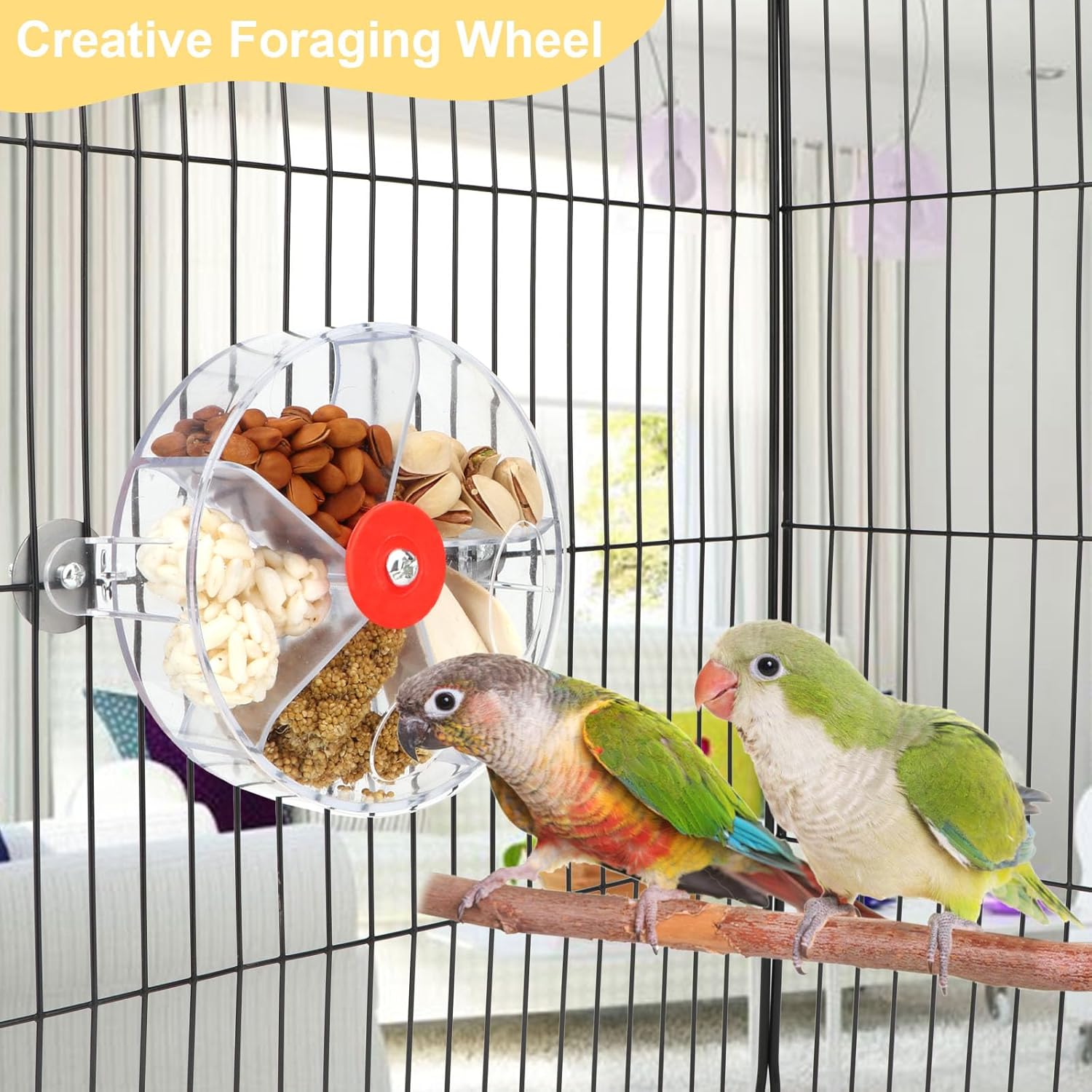 Bird Creative Foraging System Wheel Seed Food Ball Rotate Training Toy for Small and Medium Parrots Parakeet Cockatiel Conure (Clear) - Image 3