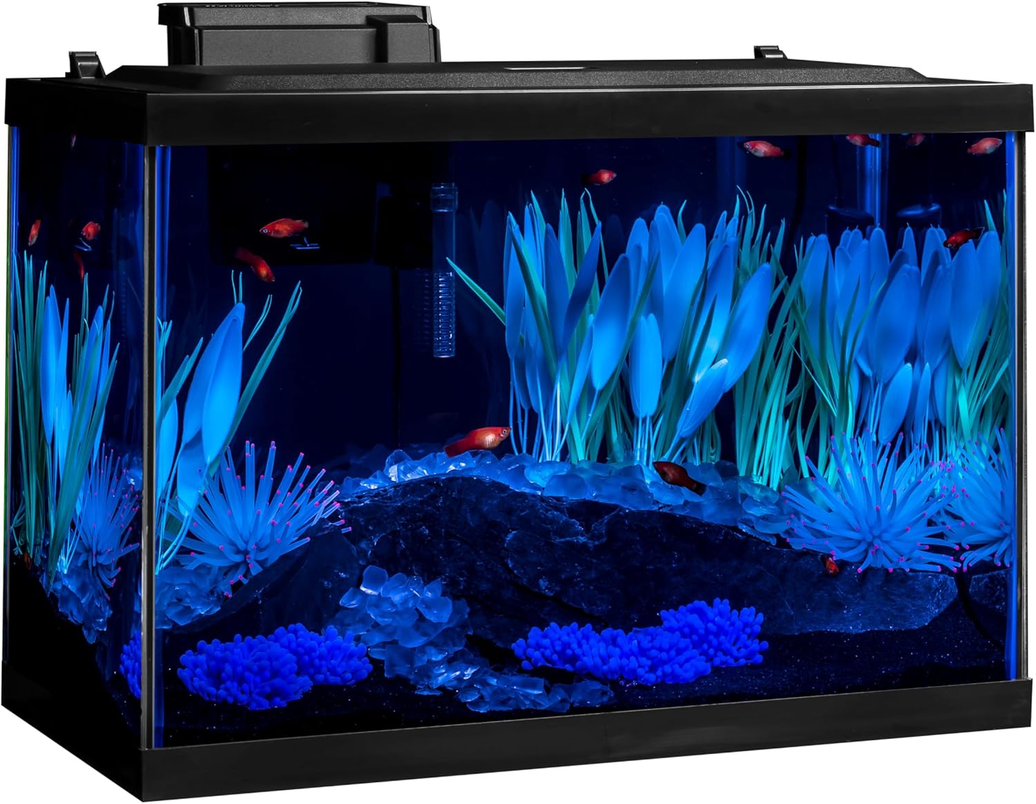 Tetra ColorFusion Aquarium 20 Gallon Fish Tank Kit, Includes LED Lighting and Decor - Image 4