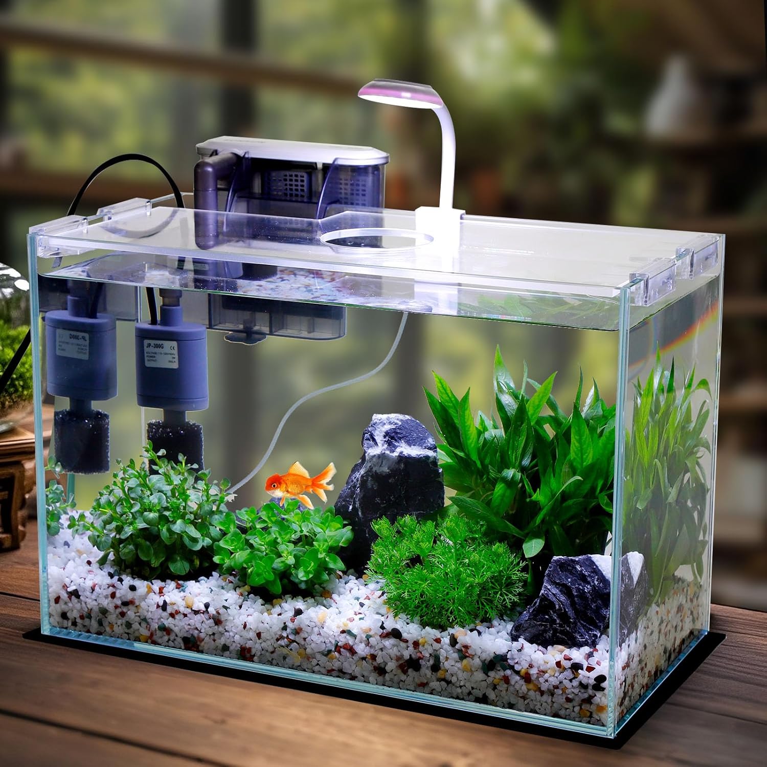 Vimvins 5 Gallon Glass Small Fish Tank with Filter Light and Lid, Betta Aquarium Starter Kits - Image 2