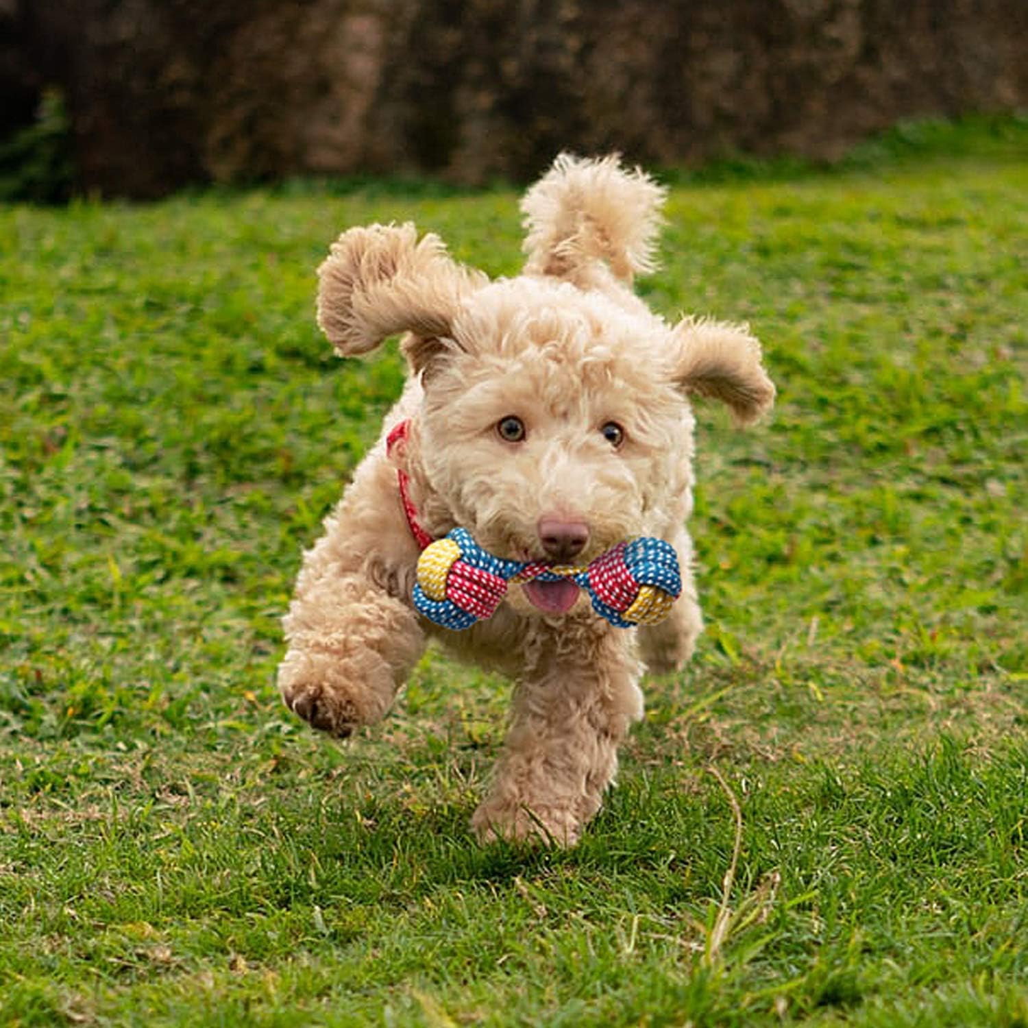 Toozey 7 Pack Small Dog Toys, Puppy Teething Toys, Durable Ropes Chew Toys, Cute Calf Squeaky Dog Toys, Non-Toxic and Safe - Image 7